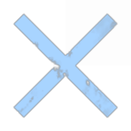 Faction Warfare Police