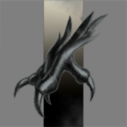 Xenarthra's Council