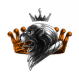 Vlad Sergienko Corporation
