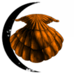 Ghost Moon Seashell