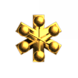 For-profit Corporation