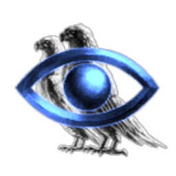 IGO Corporation