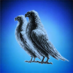 Blue Parrot