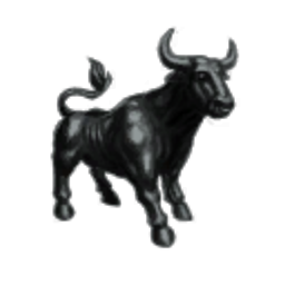 Krizoid Holding Corp