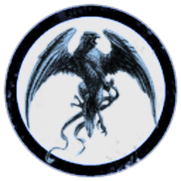 The shadow agency