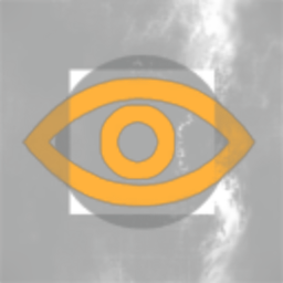 Aktionist