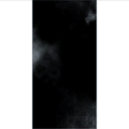 Inhibitor Phase