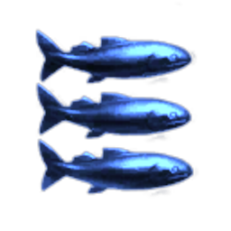 Land Of Whales