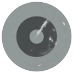 nermilv joner Corporation