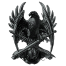 Mercenary Union.