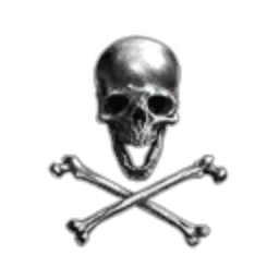 ACE Corporation.