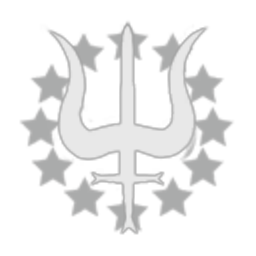 ARGUS Systems Inc.