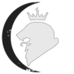 NS' Indusrty and Trading LLC