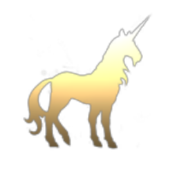 Gemini ST Holdings