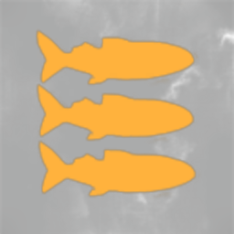 Fish n' Ships