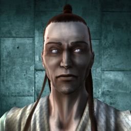 Sir Tir — legacy portrait