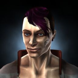 Disco Sun — legacy portrait