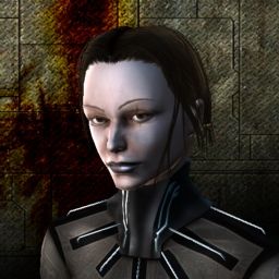 Solstiare — legacy portrait