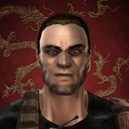 Payara — legacy portrait