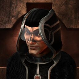 Ivarr Ragnarsson — legacy portrait