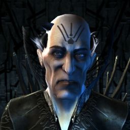 akadimik — legacy portrait