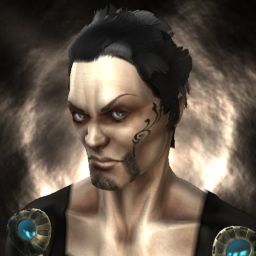 Loon artic — legacy portrait