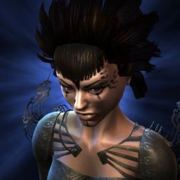SeneschaI — legacy portrait