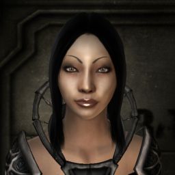 inea blackhawk — legacy portrait