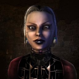 Dilgneyd — legacy portrait