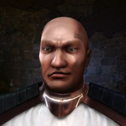 IronRobot — legacy portrait