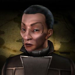 Romsland — legacy portrait