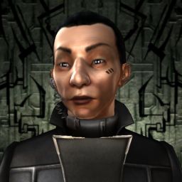 Tim Falense — legacy portrait