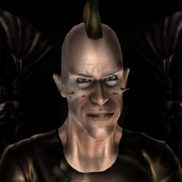 Vollprofie — legacy portrait