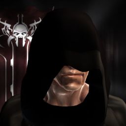 HiDSLi — legacy portrait