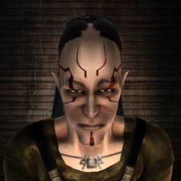 Vahlhalla — legacy portrait