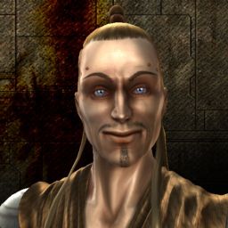 Vasik Tremeire — legacy portrait