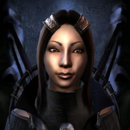 noble hierarch — legacy portrait