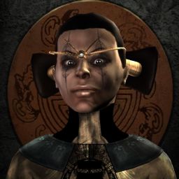 LLtop — legacy portrait