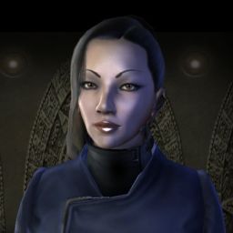 chi netok — legacy portrait