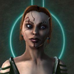 Slipstream Prediouca — legacy portrait