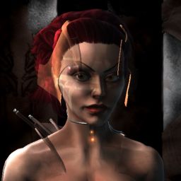 WiseFish — legacy portrait