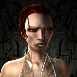 Numberone DEV — legacy portrait