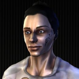Warmenhoven — legacy portrait