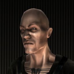 Logit Probit — legacy portrait