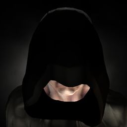 Raven 3025 — legacy portrait
