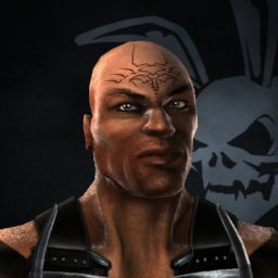 Stone Falcon — legacy portrait