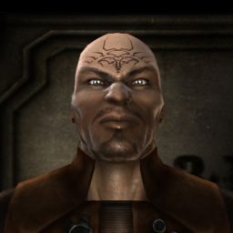 prosego — legacy portrait