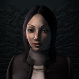 Sinkholes — legacy portrait
