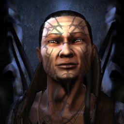 Sanshin Nokata — legacy portrait