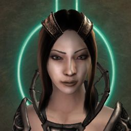 WinterFire — legacy portrait